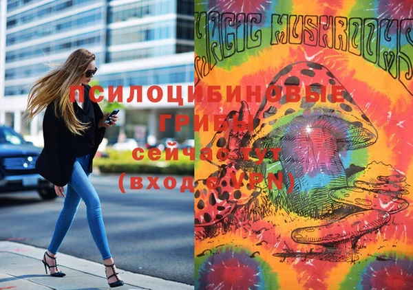 MESCALINE Медногорск