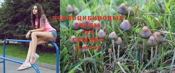 MESCALINE Медногорск