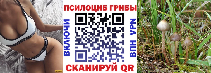Галлюциногенные грибы Psilocybe  купить закладку  Динская 